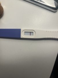 IMG_0465.jpeg
