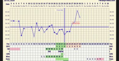 Screenshot_20260730-082637~2.jpg
