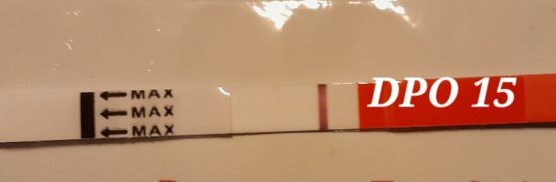 1000080209.jpg