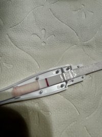 IMG_6074.jpeg