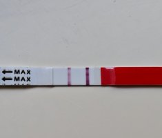 IMG_20260802_092053.jpg