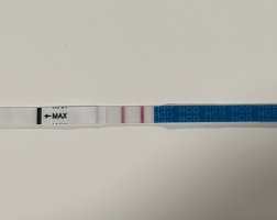 IMG_8695.jpeg