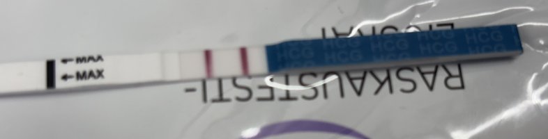 IMG_7459.jpeg