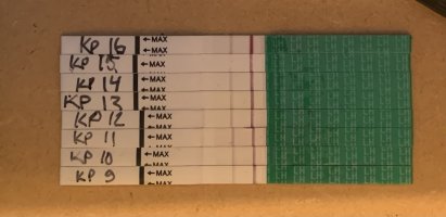 IMG_6334.jpeg