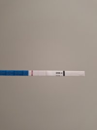 20260806_202707.jpg