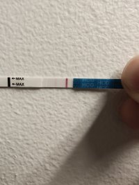 5808.jpg