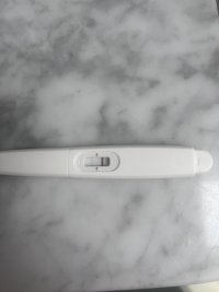 IMG_6061.jpeg