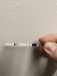 5860.jpg