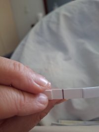 20260822_120936.jpg