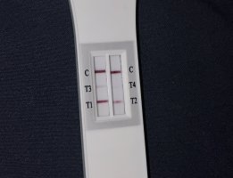 IMG_2197.jpeg