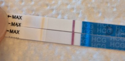 20260826_191756.jpg