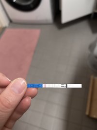 IMG_0609.jpeg