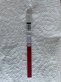 IMG_4724.jpeg