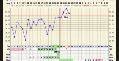 Screenshot_20260827-090109~2.jpg