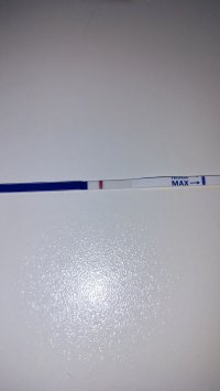 IMG20260830131959.jpg