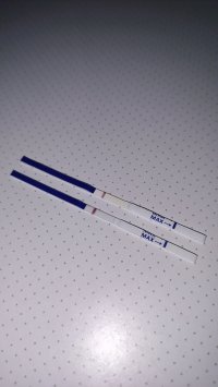 IMG20260830123121.jpg
