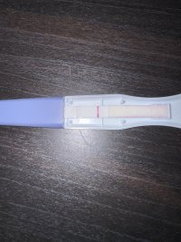IMG_3578.jpeg