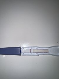 IMG_3581.jpeg