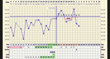Screenshot_20260902-071435~2.jpg