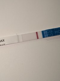 PXL_20260903_032920155.MACRO_FOCUS.jpg