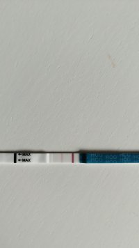 IMG-20260910-WA0005.jpeg