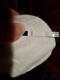20260910_194930.jpg