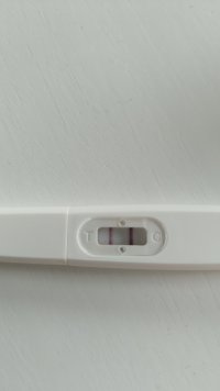 IMG-20260911-WA0013.jpeg