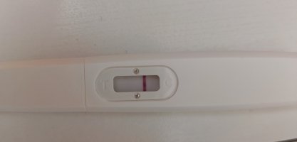 IMG_20260917_103221.jpg