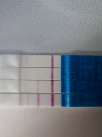 20260924_055817.jpg