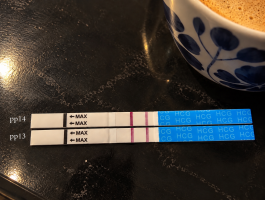 0313A42A-09BF-433C-B25F-3A8E84EAB6BC.png