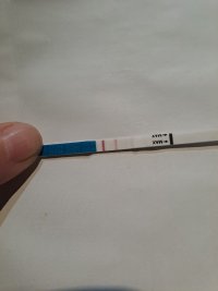 20260930_083510.jpg