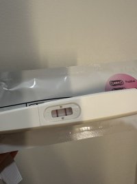 IMG_0301.jpeg