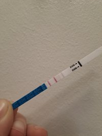 20261010_054735.jpg