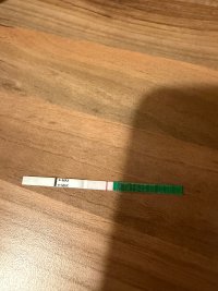 IMG_4087.jpeg