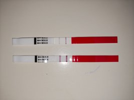 IMG20261014094048.jpg