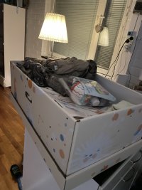 IMG_7174.jpeg