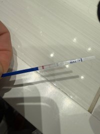 IMG_0295.jpeg