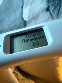 IMG_0297.jpeg