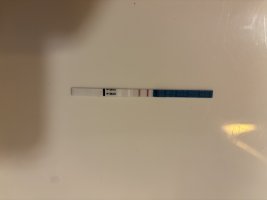 IMG_7814.jpeg