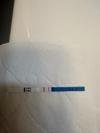 IMG_9893.jpeg