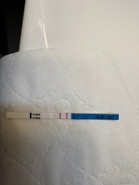 IMG_9877.jpeg