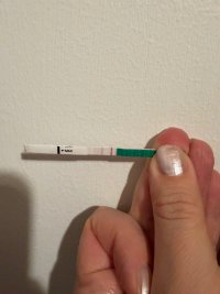 IMG_4399.jpeg