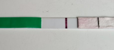 IMG_20261026_105808.jpg