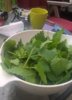 WP_20160805_17_49_06_Pro.jpg