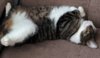 IMG_20160906_120440.jpg