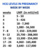 hcg-levels-in-pregnancy-week-by-week.jpg