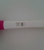 r-testi dpo13.jpg