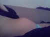 WP_001822.jpg