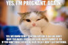 pregnant.again..jpg