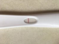 BD77B67C-89A6-4CA1-AF0D-B5DED01C31E4.jpeg BD77B67C-89A6-4CA1-AF0D-B5DED01C31E4.jpeg